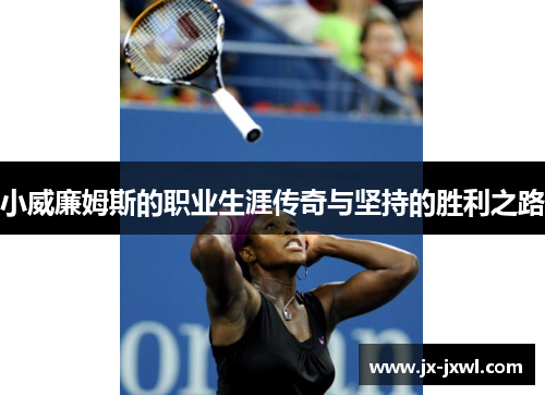 小威廉姆斯的职业生涯传奇与坚持的胜利之路